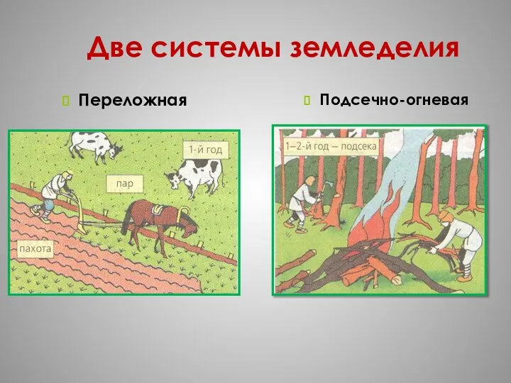 Две системы земледелия Подсечно-огневая Переложная