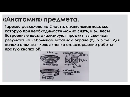 «Анатомия» предмета. Тарелка разделена на 2 части: силиконовая насадка, которую при необходимости