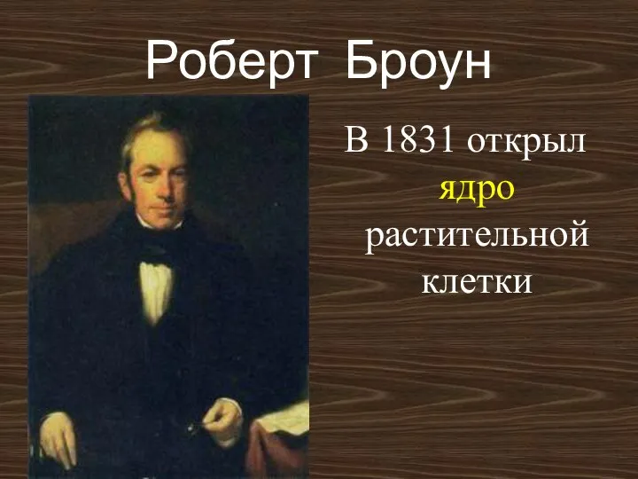 Роберт Броун В 1831 открыл ядро растительной клетки