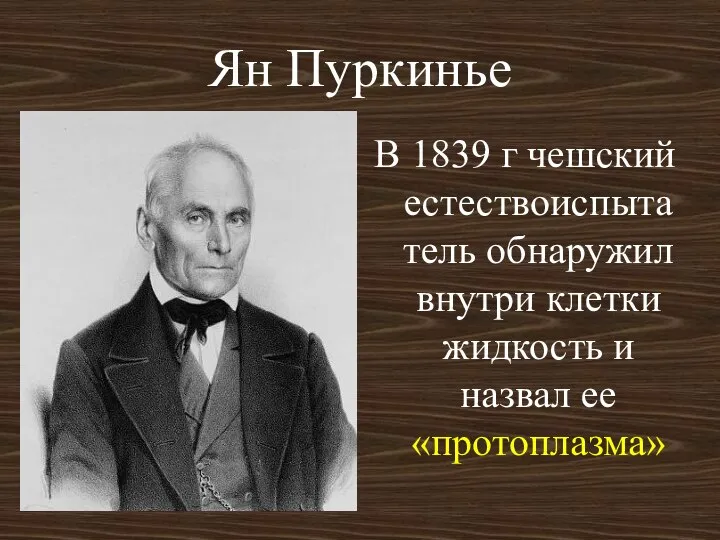 Ян Пуркинье В 1839 г чешский естествоиспытатель обнаружил внутри клетки жидкость и назвал ее «протоплазма»