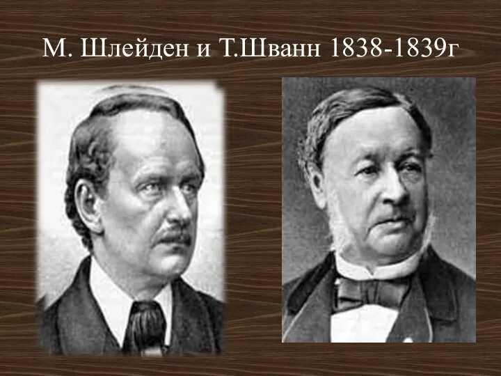 М. Шлейден и Т.Шванн 1838-1839г