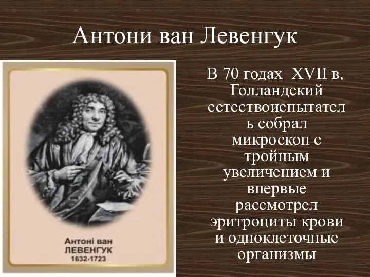 Антони ван Левенгук В 70 годах XVII в. Голландский естествоиспытатель собрал микроскоп