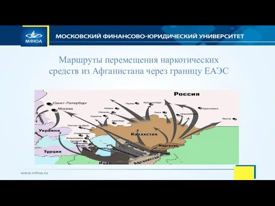 Маршруты перемещения наркотических средств из Афганистана через границу ЕАЭС