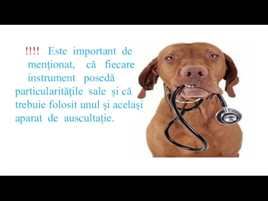 !!!! Este important de menţionat, că fiecare instrument posedă particularităţile sale și