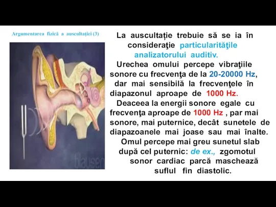 La auscultație trebuie să se ia în consideraţie particularităţile analizatorului auditiv. Urechea