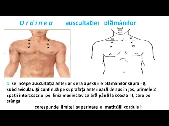 O r d i n e a auscultaţiei plămânilor 1. se începe