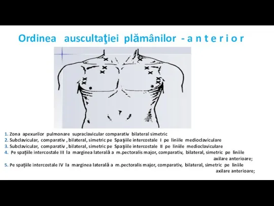 1. Zona apexurilor pulmonare supraclavicular comparativ bilateral simetric 2. Subclavicular, comparativ ,