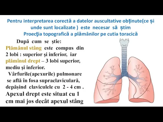 Pentru interpretarea corectă a datelor auscultative obținute(ce și unde sunt localizate )