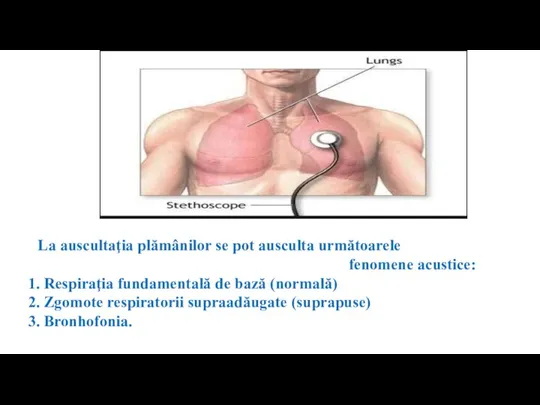 La auscultaţia plămânilor se pot ausculta următoarele fenomene acustice: 1. Respiraţia fundamentală