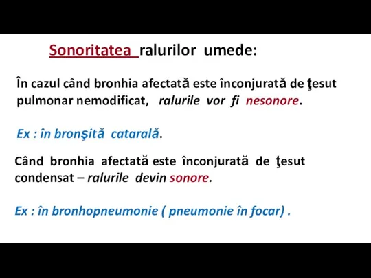 Sonoritatea ralurilor umede: În cazul când bronhia afectată este înconjurată de ţesut