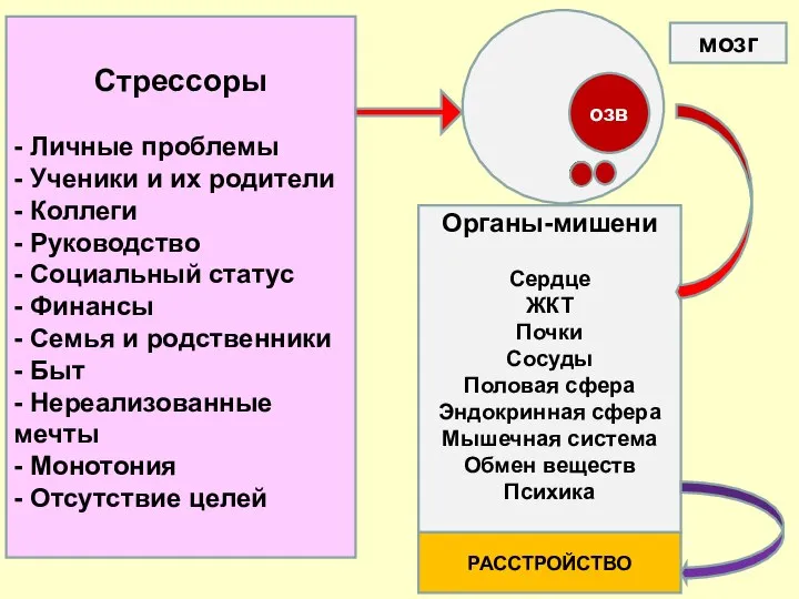 озв Стрессоры - Личные проблемы - Ученики и их родители - Коллеги