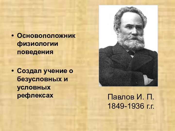 Основоположник физиологии поведения Создал учение о безусловных и условных рефлексах Павлов И. П. 1849-1936 г.г.