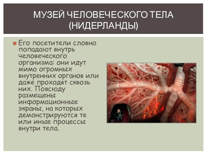 Его посетители словно попадают внутрь человеческого организма: они идут мимо огромных внутренних