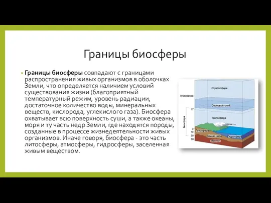 Границы биосферы Границы биосферы совпадают с границами распространения живых организмов в оболочках