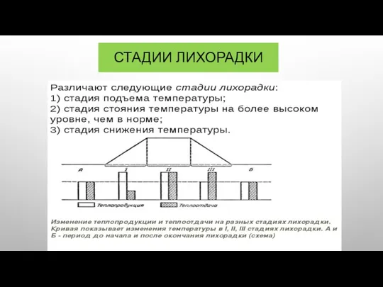 СТАДИИ ЛИХОРАДКИ