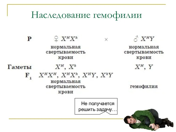 Наследование гемофилии Не получается решить задачу…