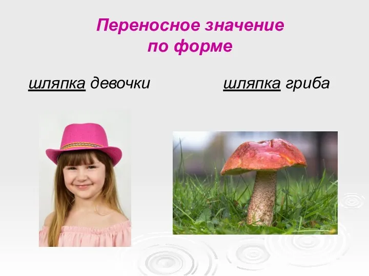 шляпка девочки шляпка гриба Переносное значение по форме