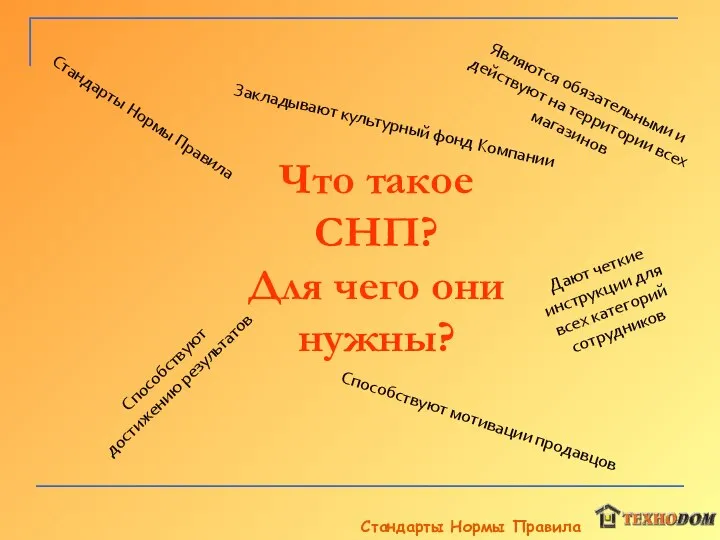 Что такое СНП? Для чего они нужны? Закладывают культурный фонд Компании Являются