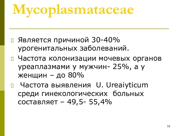 Mycoplasmataceae Является причиной 30-40% урогенитальных заболеваний. Частота колонизации мочевых органов уреаплазмами у