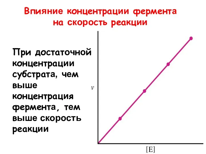 Впияние концентрации фермента на скорость реакции При достаточной концентрации субстрата, чем выше