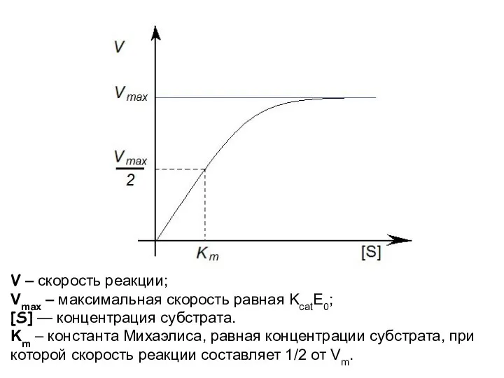 V – скорость реакции; Vmax – максимальная скорость равная KcatE0; [S] —