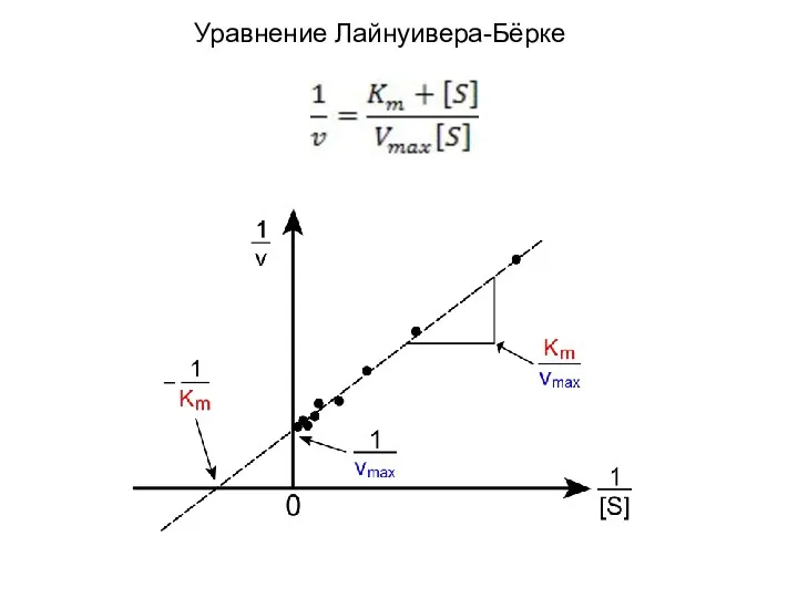 Уравнение Лайнуивера-Бёрке