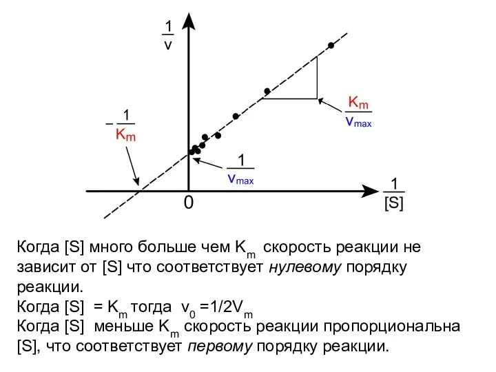 Когда [S] много больше чем Km скорость реакции не зависит от [S]