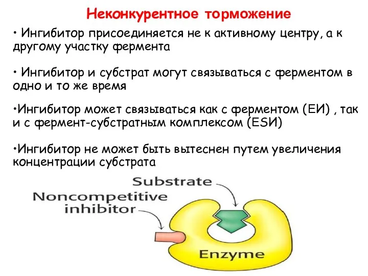 • Ингибитор присоединяется не к активному центру, а к другому участку фермента