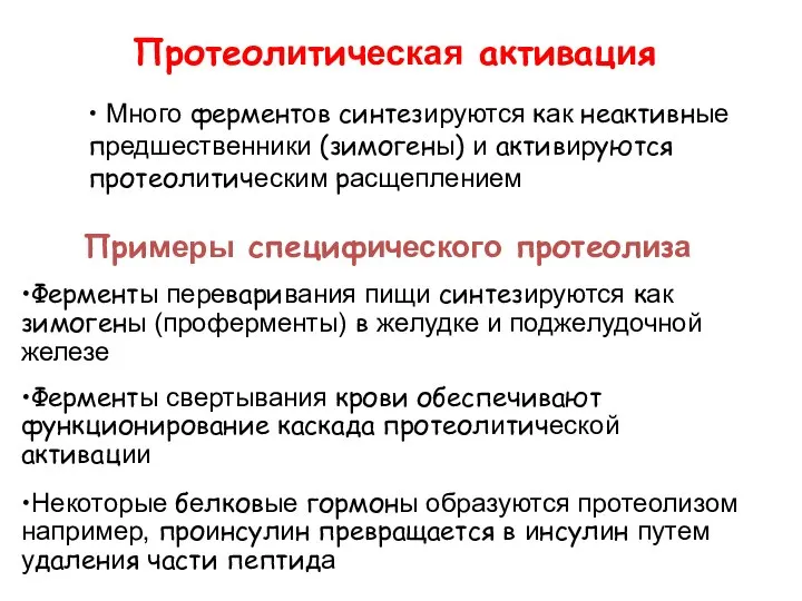 Протеолитическая активация • Много ферментов синтезируются как неактивные предшественники (зимогены) и активируются