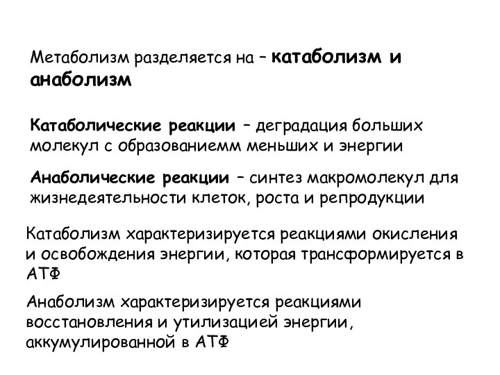 Катаболические реакции – деградация больших молекул с образованиемм меньших и энергии Анаболические