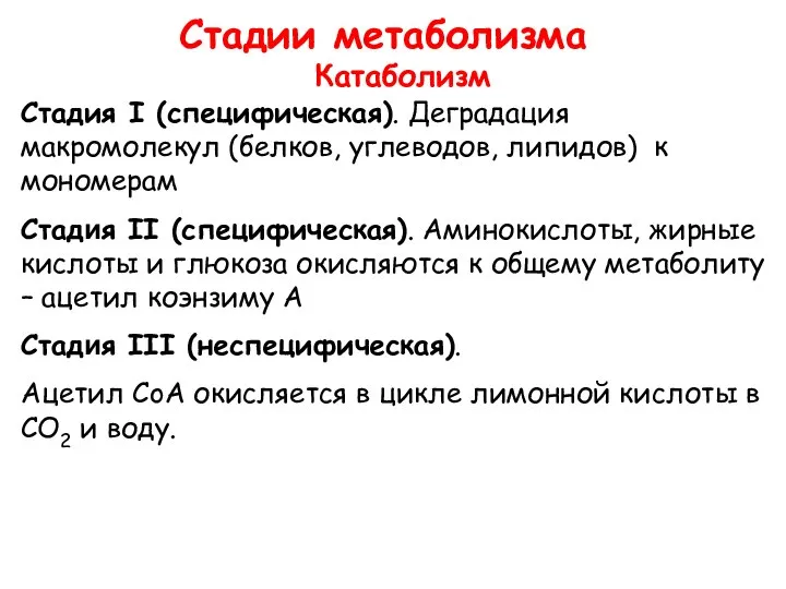 Стадии метаболизма Катаболизм Стадия I (специфическая). Деградация макромолекул (белков, углеводов, липидов) к