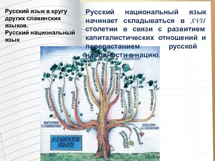 Русский язык в кругу других славянских языков. Русский национальный язык Русский национальный