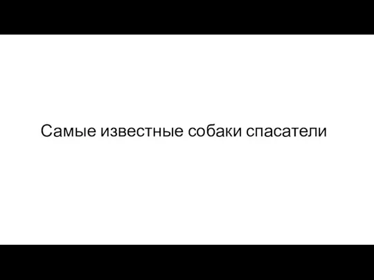 Самые известные собаки спасатели