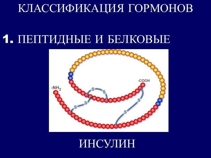 КЛАССИФИКАЦИЯ ГОРМОНОВ 1. ПЕПТИДНЫЕ И БЕЛКОВЫЕ ИНСУЛИН