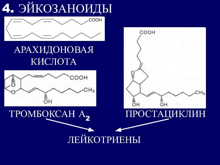 4. ЭЙКОЗАНОИДЫ АРАХИДОНОВАЯ КИСЛОТА ТРОМБОКСАН А2 ПРОСТАЦИКЛИН ЛЕЙКОТРИЕНЫ