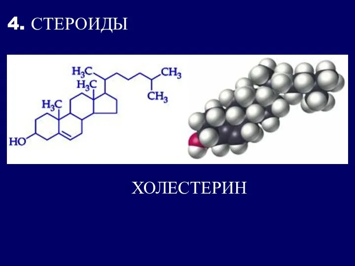 4. СТЕРОИДЫ ХОЛЕСТЕРИН