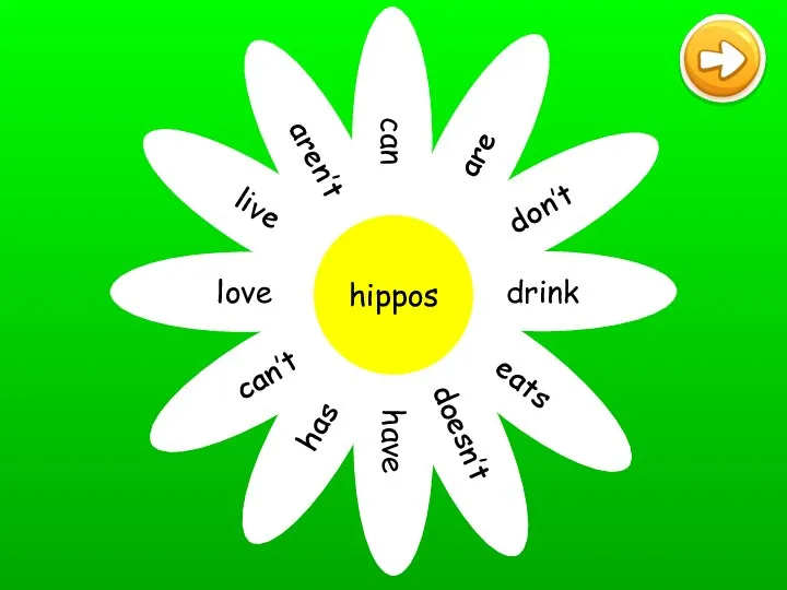 can are don’t drink eats doesn’t have has can’t love live aren’t hippos