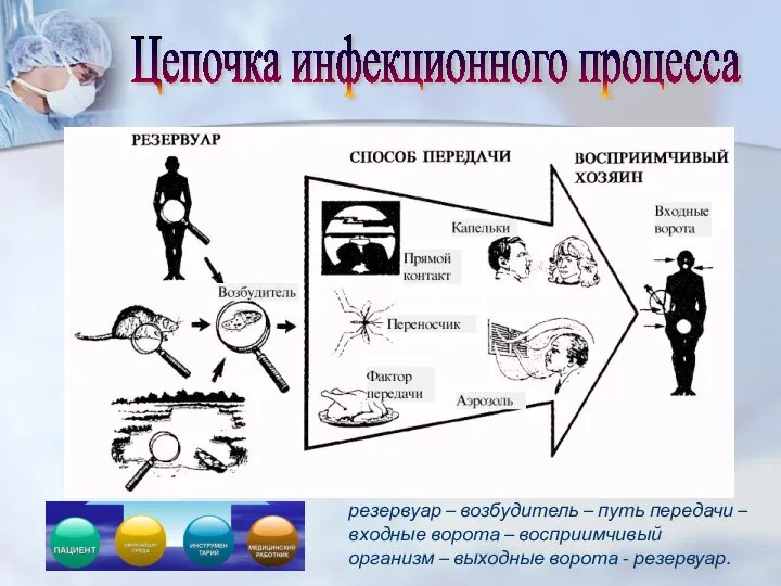 Цепочка инфекционного процесса резервуар – возбудитель – путь передачи – входные ворота