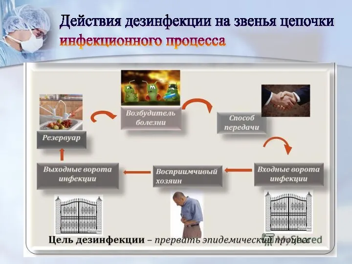 Действия дезинфекции на звенья цепочки инфекционного процесса