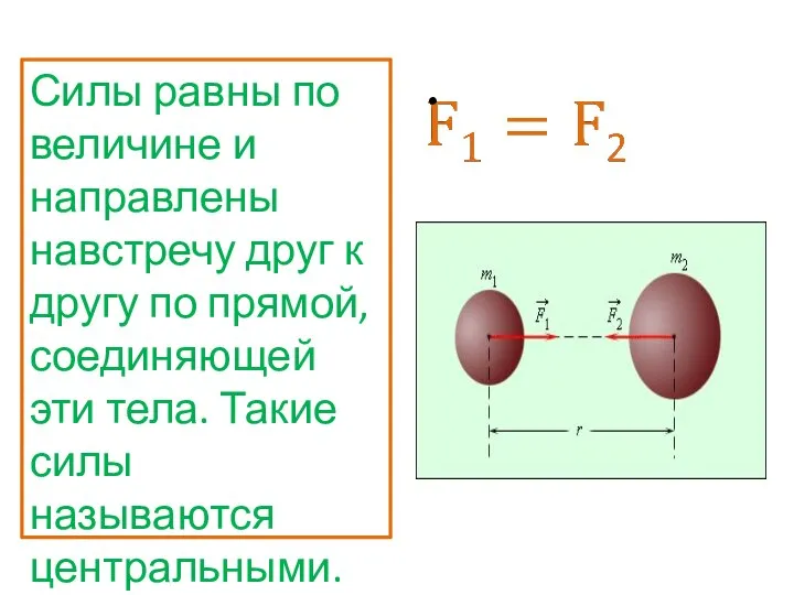 Силы равны по величине и направлены навстречу друг к другу по прямой,