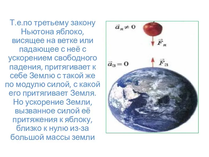 Т.е.по третьему закону Ньютона яблоко, висящее на ветке или падающее с неё