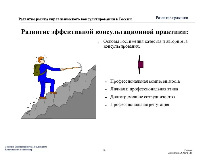 Развитие эффективной консультационной практики: Основы достижения качества и авторитета консультирования: Профессиональная компетентность