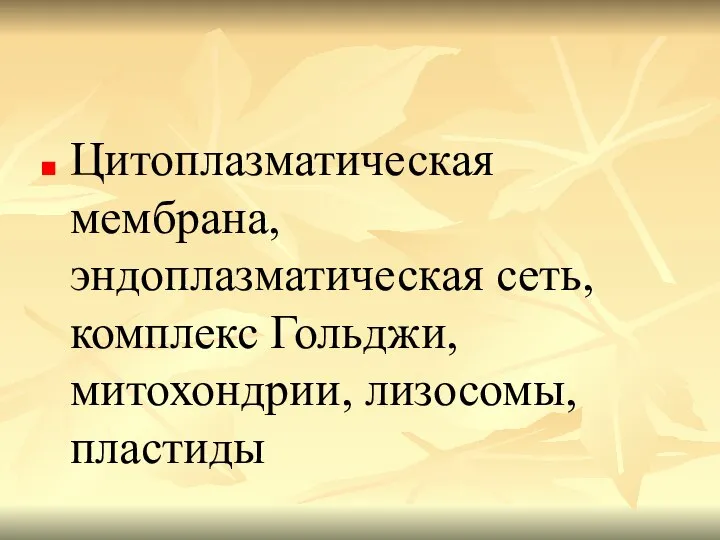 Цитоплазматическая мембрана, эндоплазматическая сеть, комплекс Гольджи, митохондрии, лизосомы, пластиды