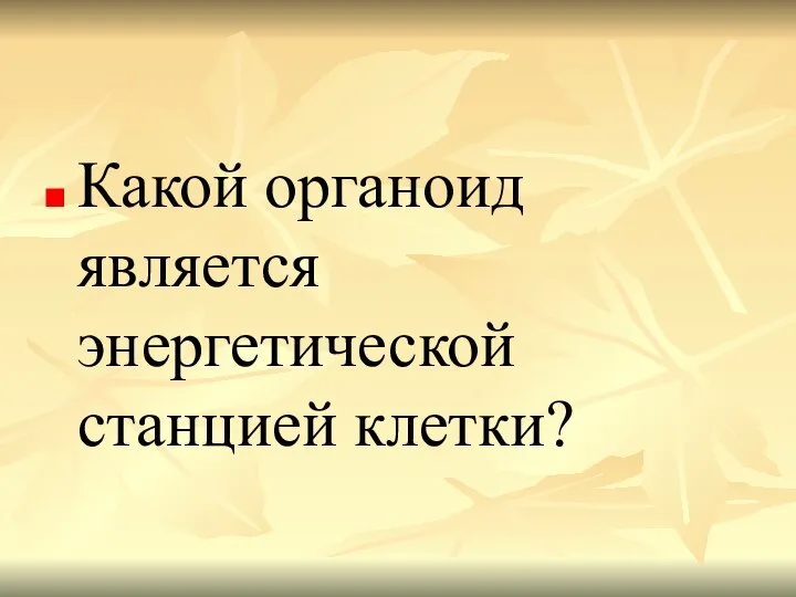 Какой органоид является энергетической станцией клетки?