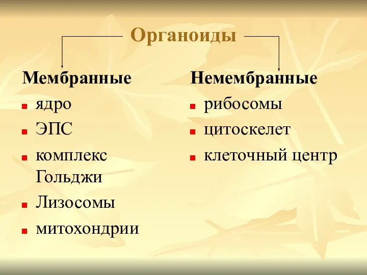 Органоиды Мембранные ядро ЭПС комплекс Гольджи Лизосомы митохондрии Немембранные рибосомы цитоскелет клеточный центр