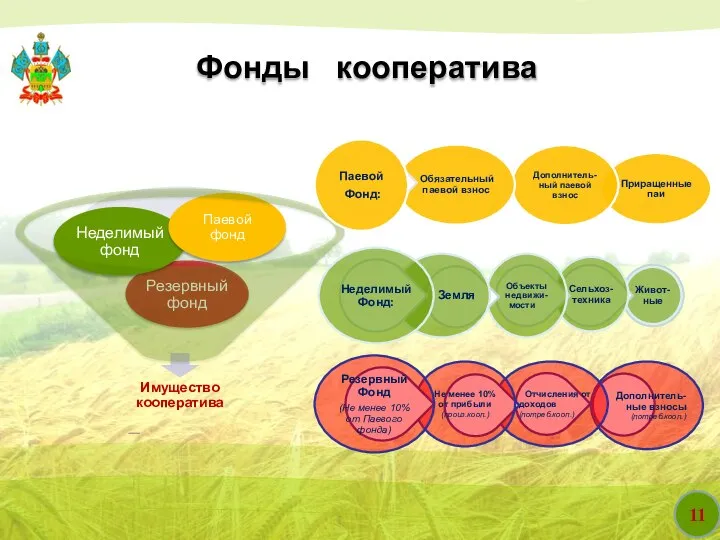 11 Фонды кооператива