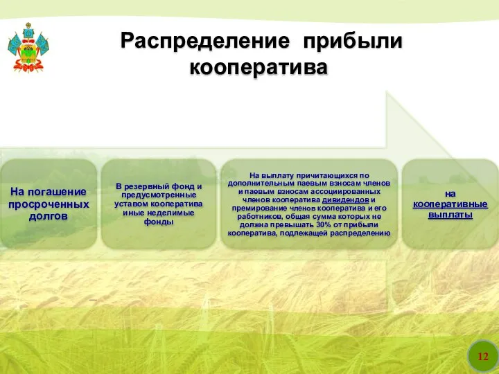 12 Распределение прибыли кооператива На погашение просроченных долгов В резервный фонд и