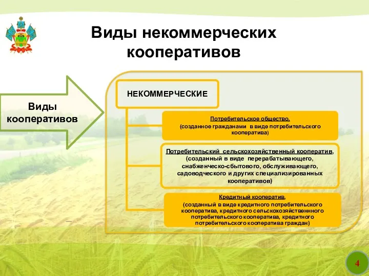 4 Виды некоммерческих кооперативов Виды кооперативов