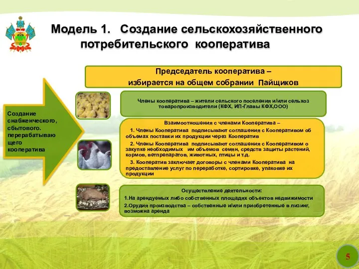 5 Модель 1. Создание сельскохозяйственного потребительского кооператива Создание снабженческого, сбытового. перерабатывающего кооператива