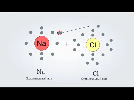 + Na Cl - Положительный ион Отрицательный ион